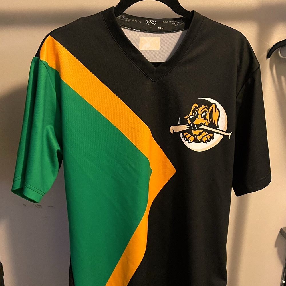 Charleston RiverDogs Jamaican Bobsled Team Night jersey size Large